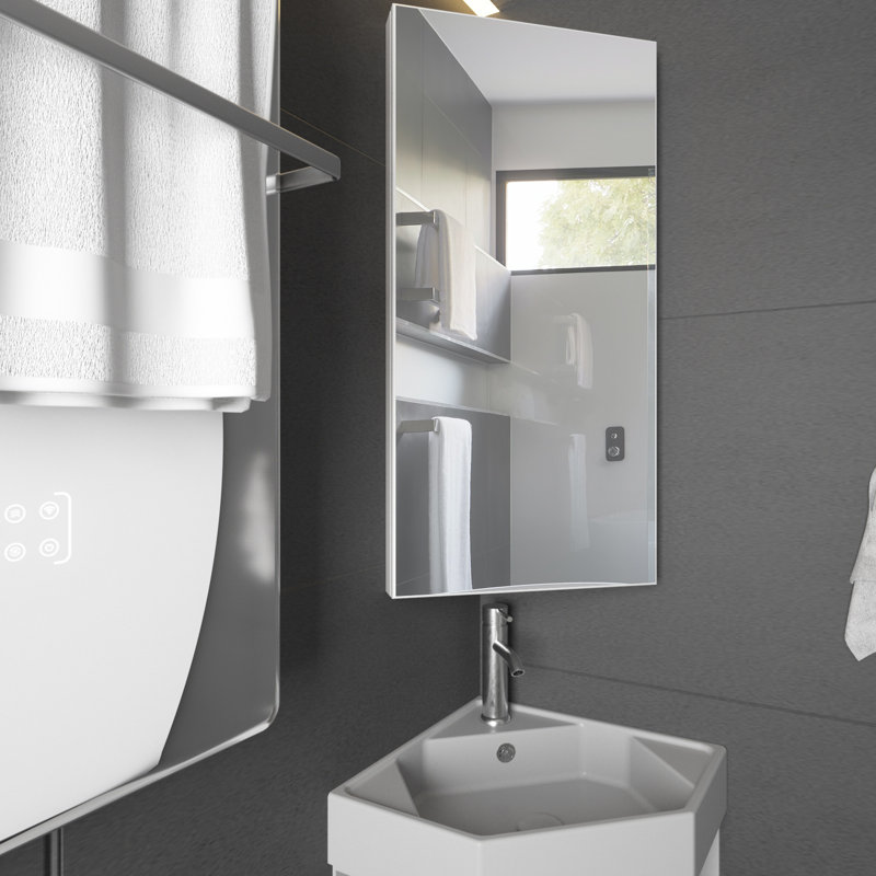 Ivy Bronx Eastbrook 12.8'' W 24.2'' H Corner Mount Frameless Medicine